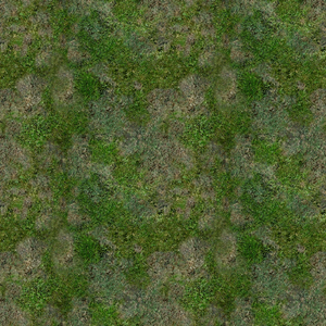 Diffuse texture example