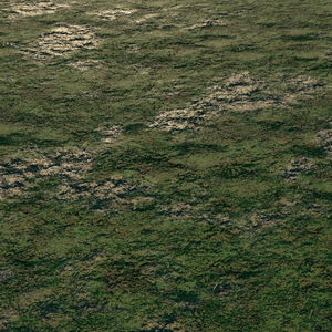 Grass from Shadow Generations rendered in Blender